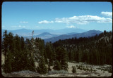 Sheep Camp Meadows