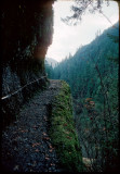 Eagle Creek Trail cable 1979