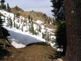 PCT near Carter Meadows