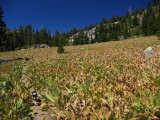 North of Five Lakes Creek