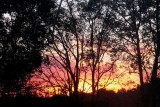 Witch Woods Fire Sunset(from Nightshots)