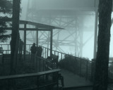 Mount Roberts Views
