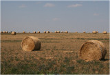 Alberta Ranch Land