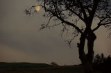 31st October 2006 <br> dark and windy