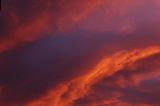 DSC_0093s.jpg