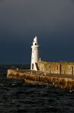 DSC_0076s.jpg