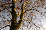 17th November 2006 <br> take heart