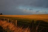 20th November 2006 <br> bitterly cold