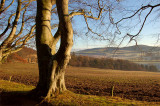 29th November 2006 <br> nearly late
