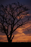 7th December 2006 <br> one more day