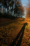DSC_0075s.jpg