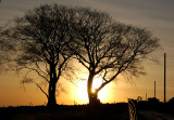 DSC_0068s.jpg