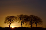 22nd December 2006 <br> home at last