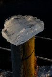 DSC_0056s.jpg