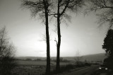 DSC_0049s.jpg