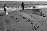 DSC_0080s.jpg