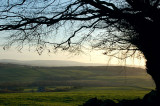 14th February 2007 sunshine after the rain