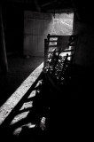 DSC_0012s.jpg