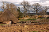 DSC_0033copy.jpg