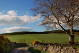 DSC_0037 copy2.jpg