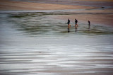 DSC_0064 copy.jpg
