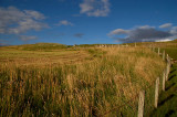 DSC_0018 copy.jpg