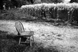 A Seat in the Country