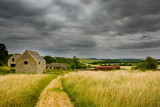 Cotswold Countryside 2