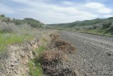 Lower Crab Creek Road