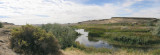 Marsh Unit. One - Columbia National Wildlife Refuge