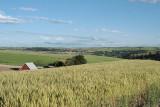 Colfax - along the Palouse River