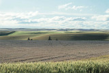 Near Colfax