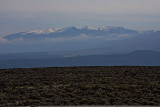Across-the-Sagebrush, near Taos