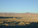 desert pokey thingys 186.jpg