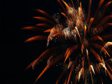 PB046504_4wm.jpg