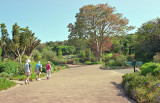 Kirstenbosch Botanical Gardens