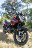 Suzuki DL 650 V-Strom