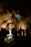 Jenolan Caves