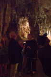 Jenolan Caves