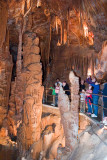 Jenolan Caves