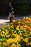 Floriade XVIII