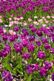 Floriade XVI