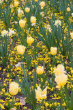 Floriade XIV