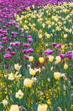 Floriade XIII