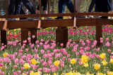 Floriade IX