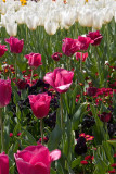 Floriade IV