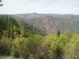 Californian Mountains - green and humid