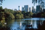 Central Park in the Fall, Manhattan