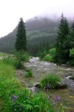 River in the Tatra Mountains