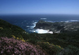 Cape of Good Hope